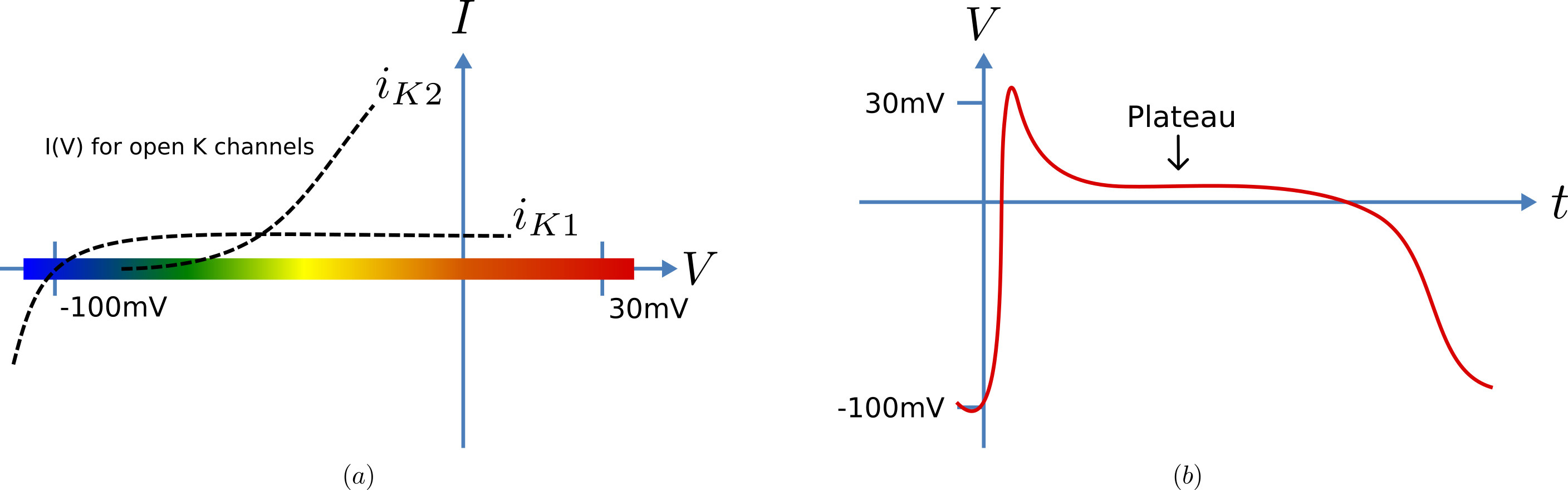 Current voltage relations