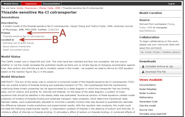 Thiazide-sensitive Na-Cl cotransporter workspace